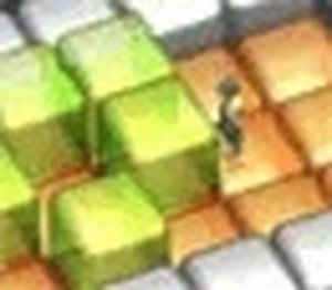 Block Maze Thinker