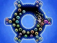 Touch The Bubbles 4 Online Game