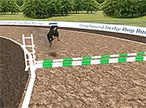 Canine Sprint 3D Arcade