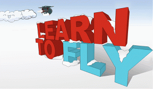 Learn to Fly Online Arcade Game
