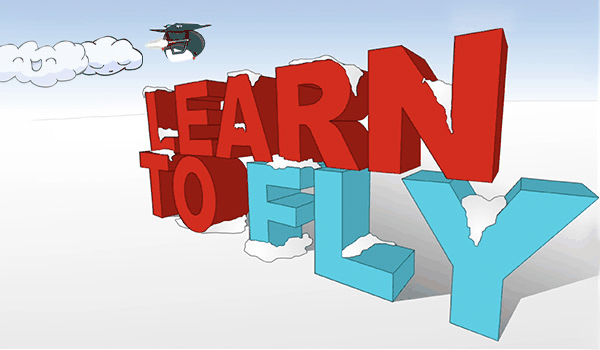 Learn to Fly Online Arcade Game