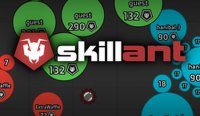 Skillant Online Game