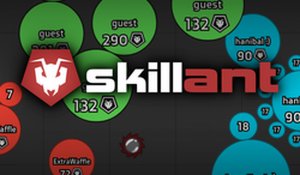 Skillant Online Game